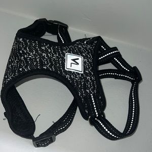 Harness for small dog.